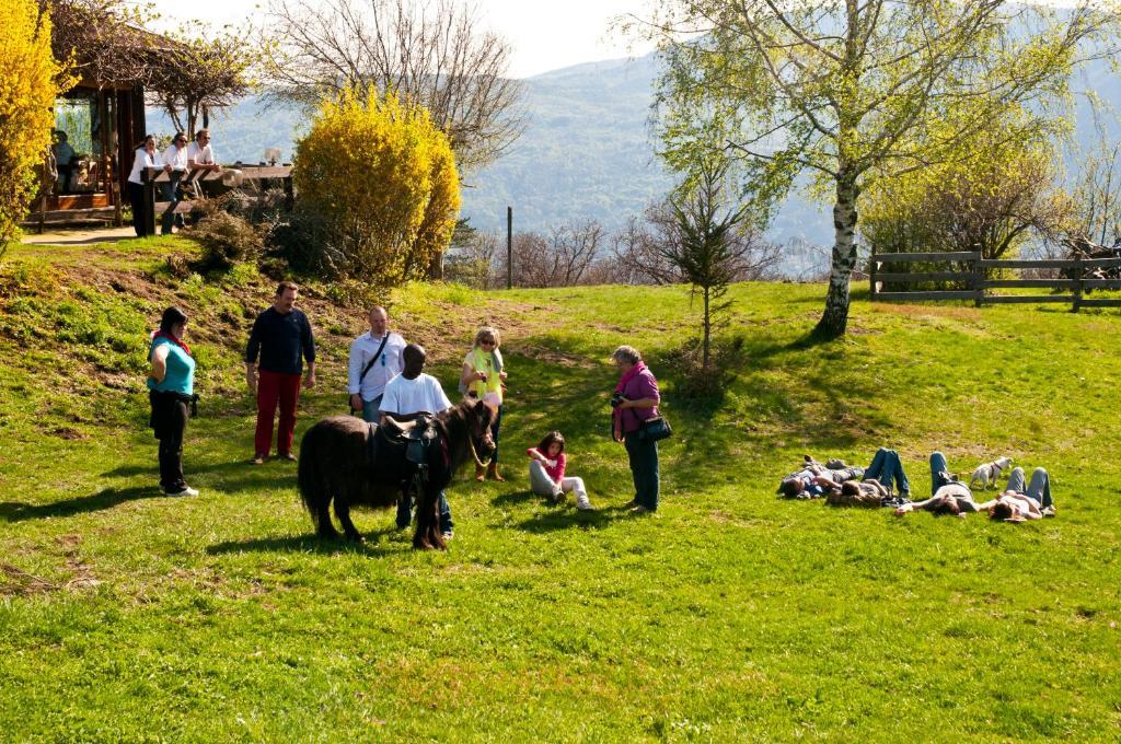 Agriturismo Monterosso Verbania Dış mekan fotoğraf